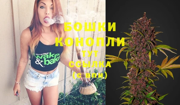 кокаин колумбия Новозыбков